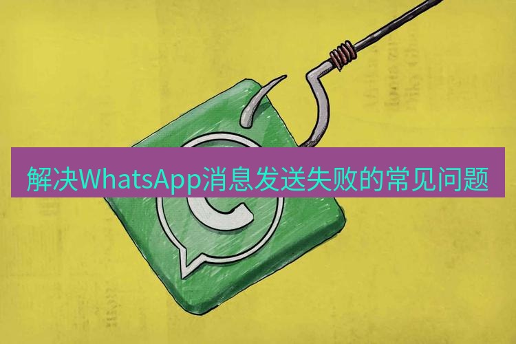 whatsapp官网 解决WhatsApp消息发送失败的常见问题